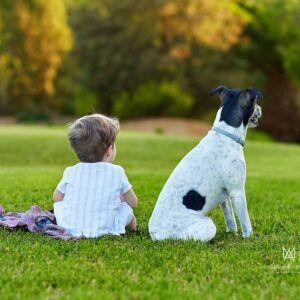 Sesión de fotos de mascotas en Murcia